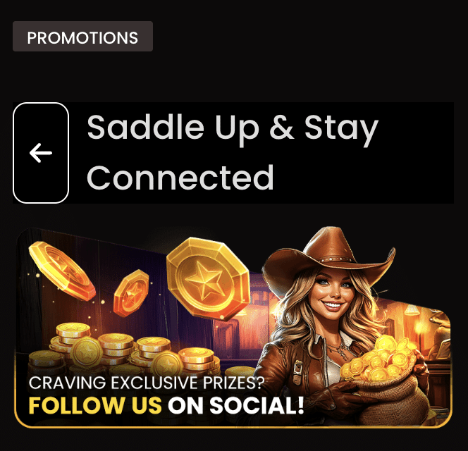 Mega Bonanza social media rewards